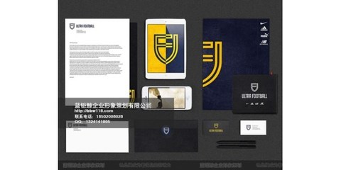 藍鉅鯨設計 蘿崗區企業形象策劃與工廠VI設計優選伙伴